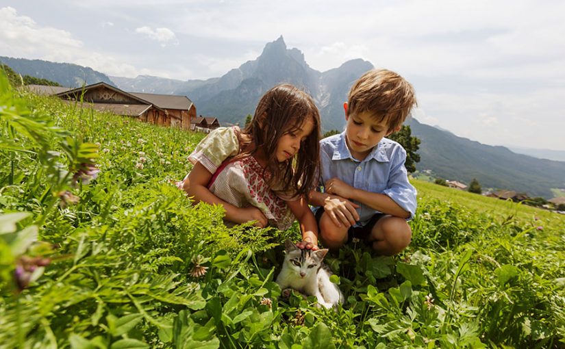 Südtiroler Bauernhöfe – Kuschelstunde mit Tierkindern